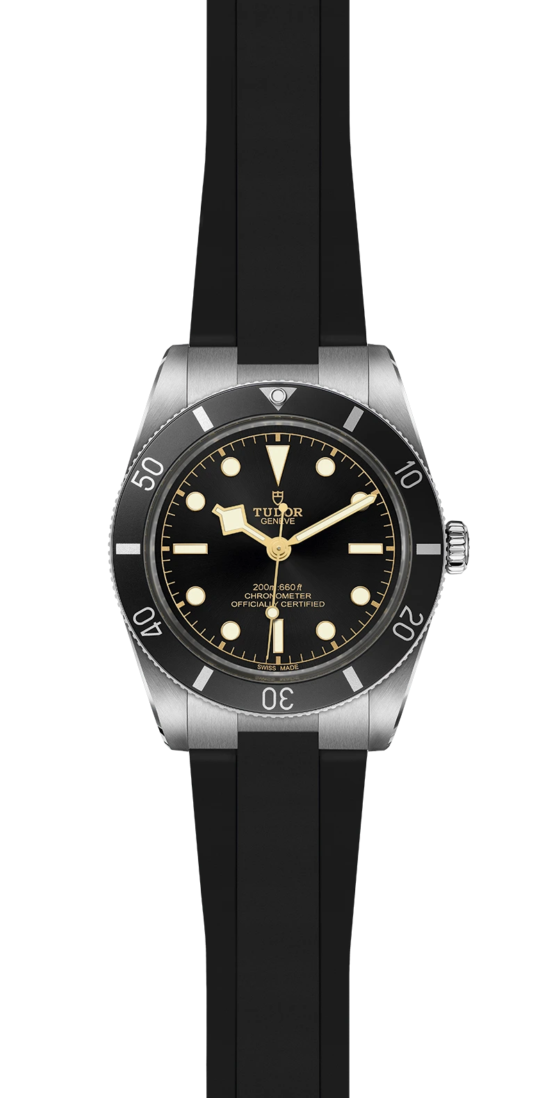 Tudor Watch