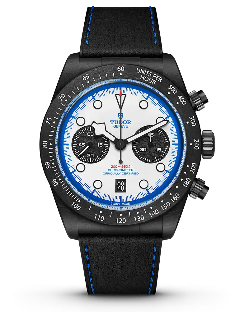 Tudor Watch