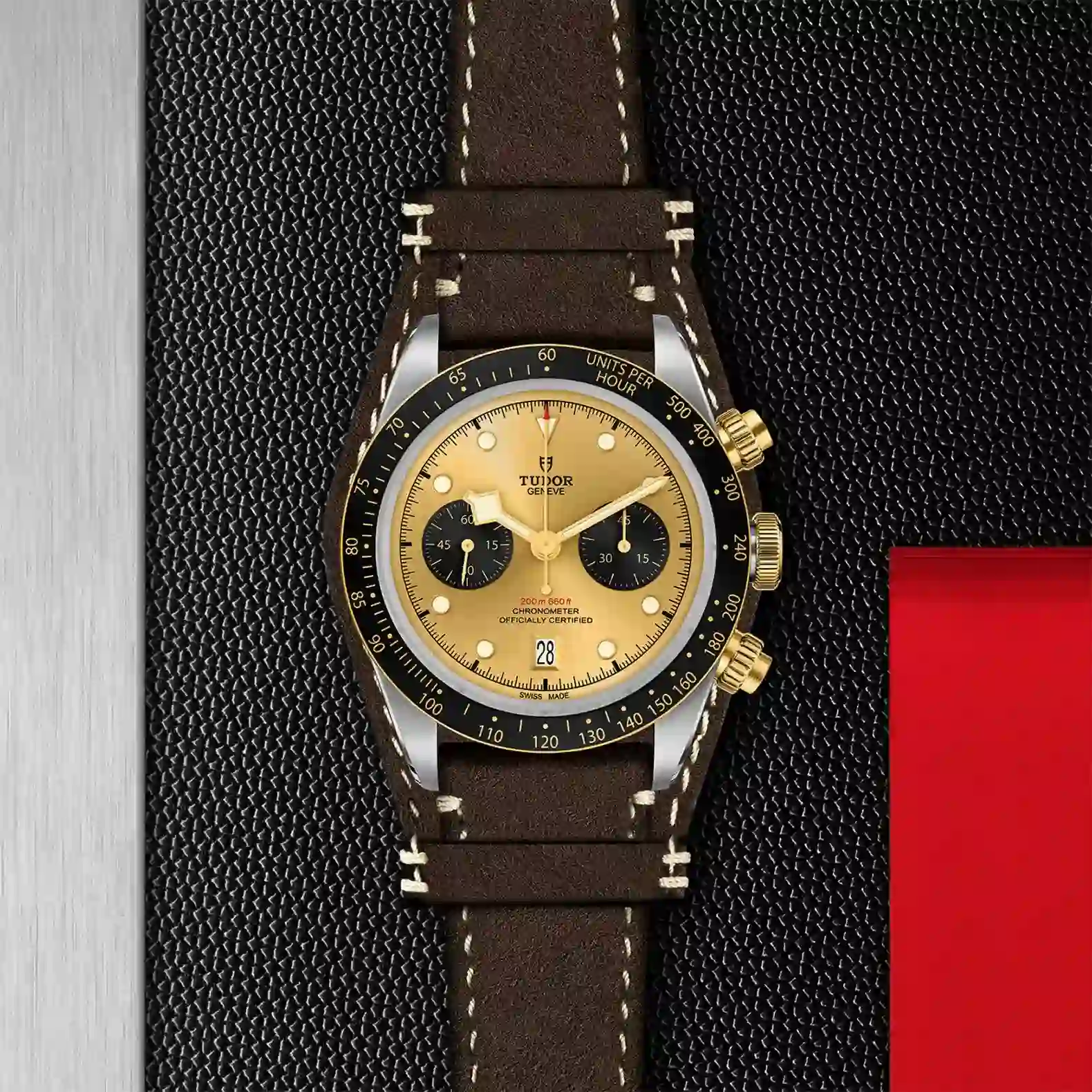 Tudor