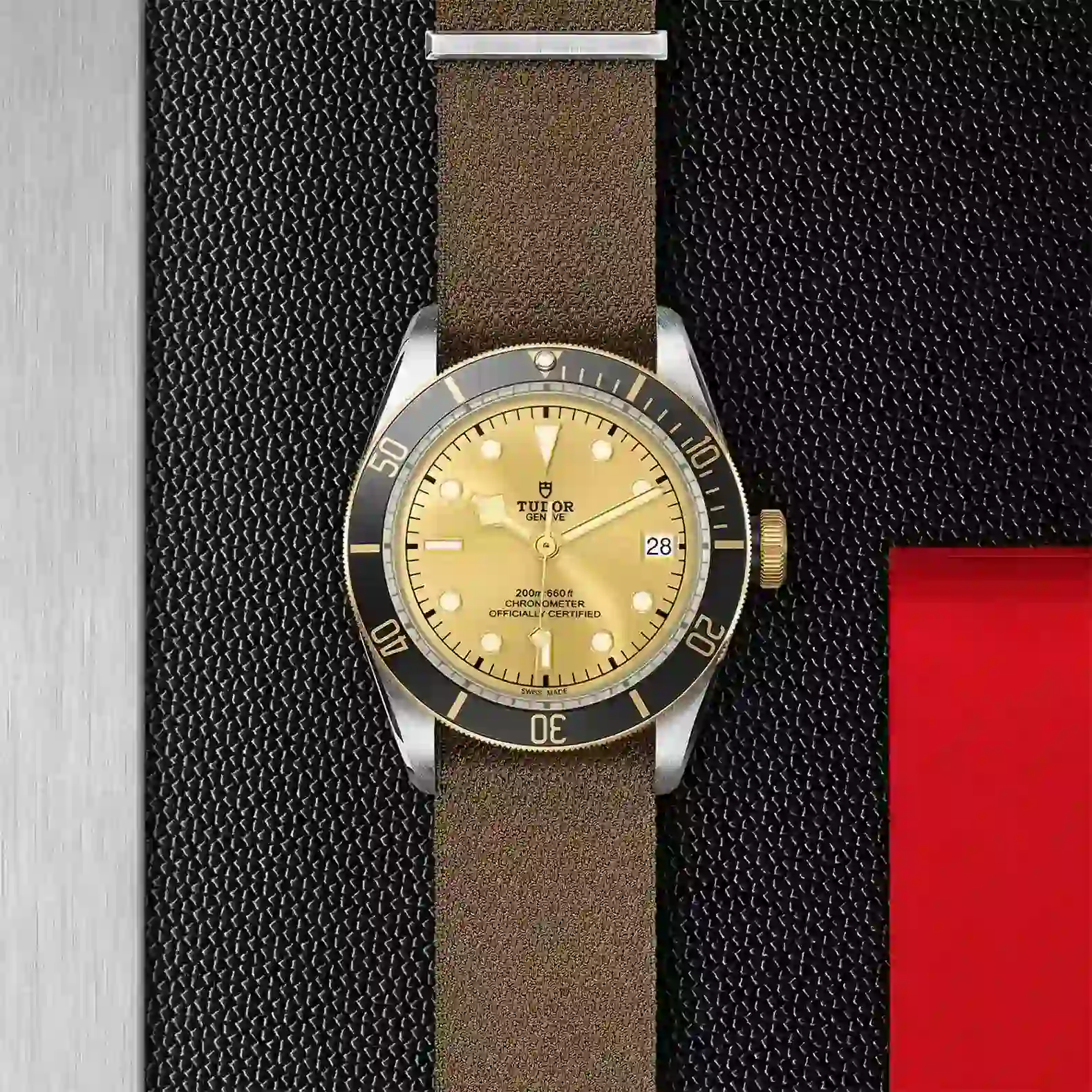 Tudor