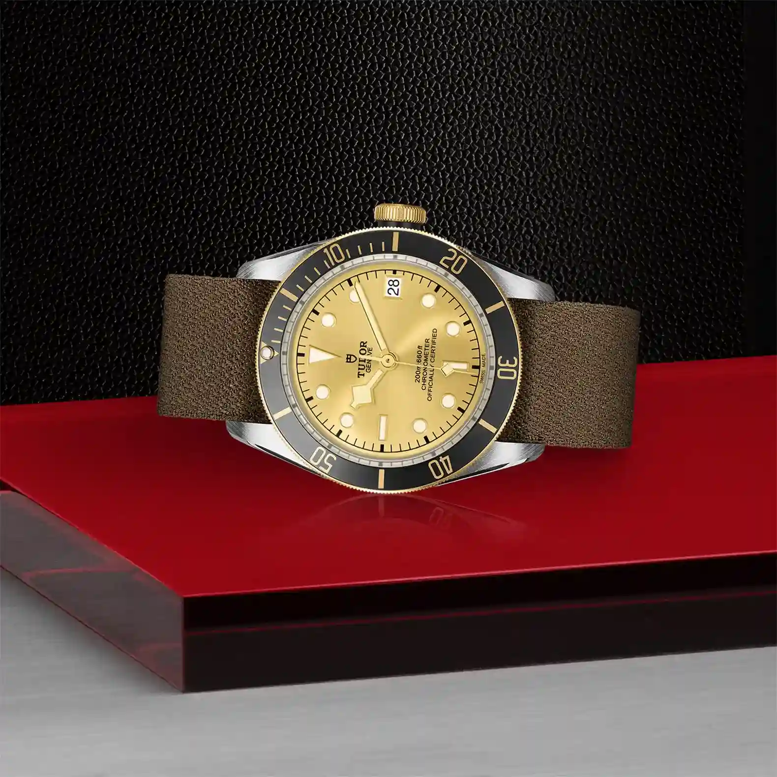 Tudor