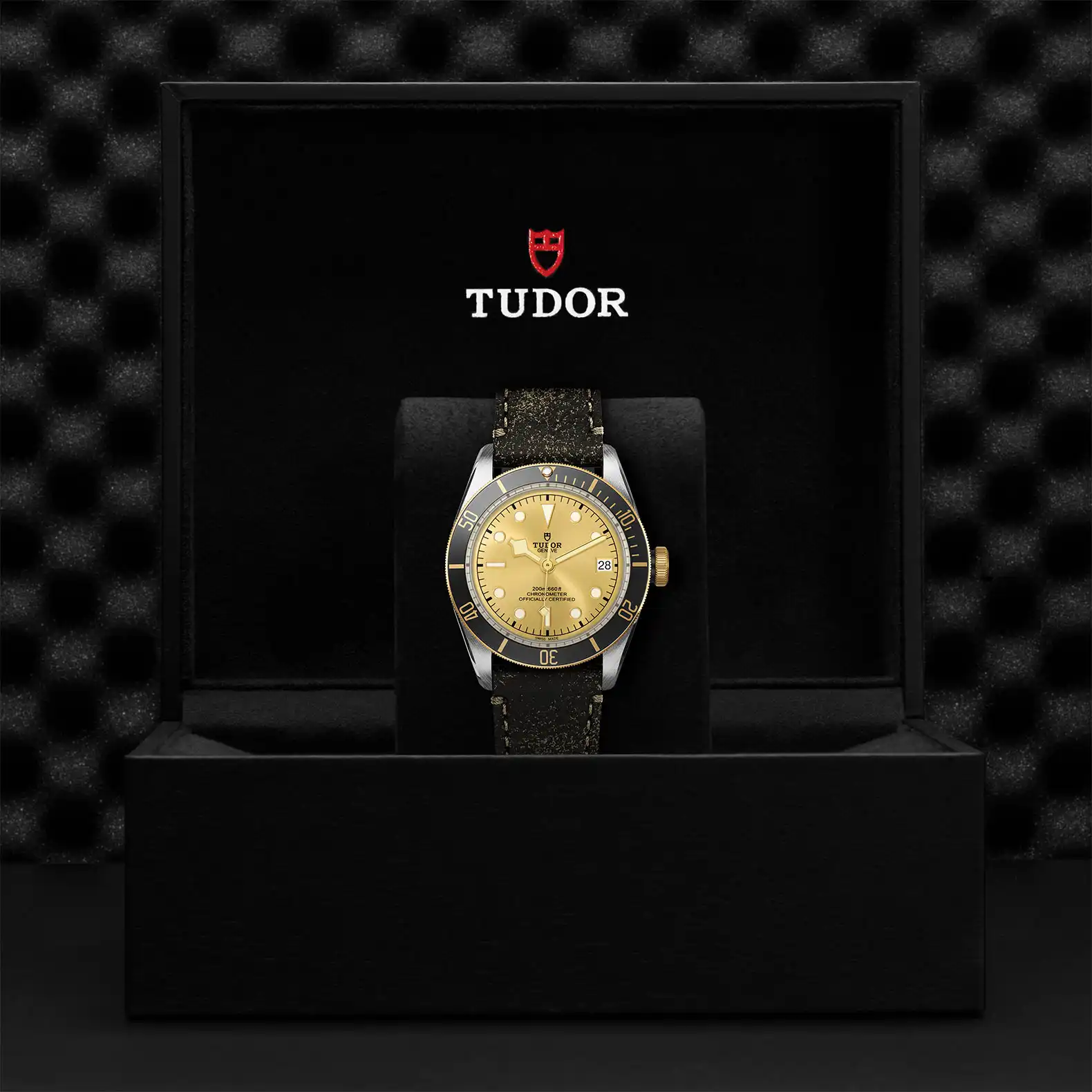 Tudor