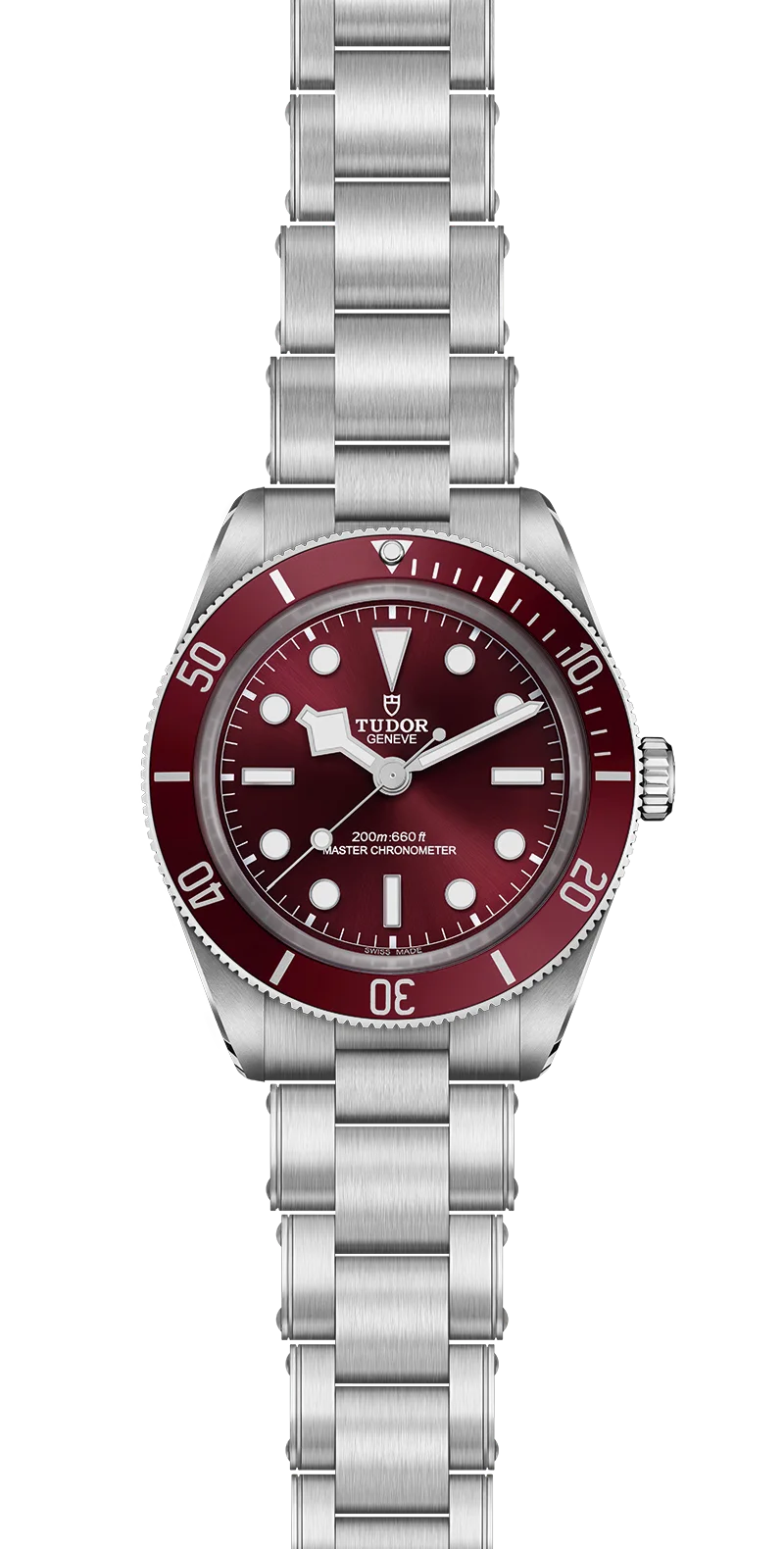 Tudor Watch