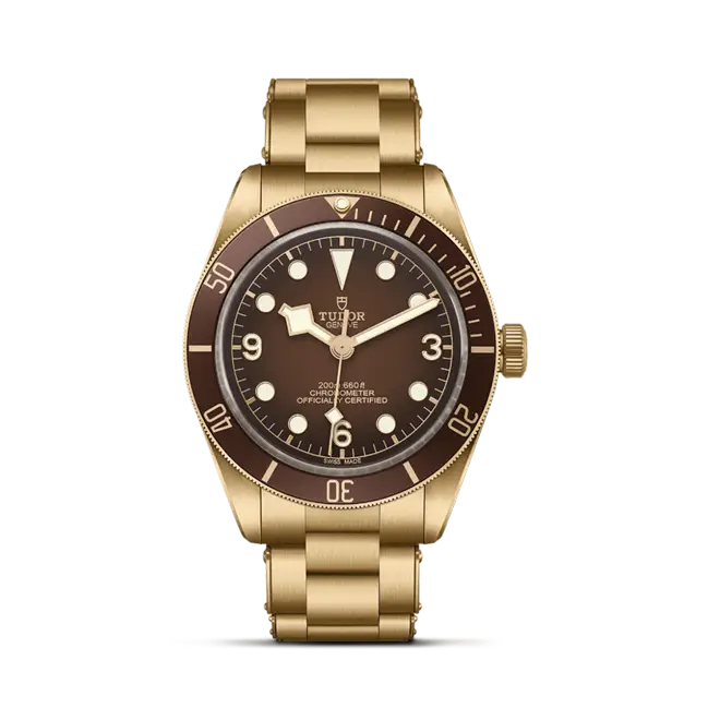 BLACK BAY 58 M79012M-0001 | Watch Palace