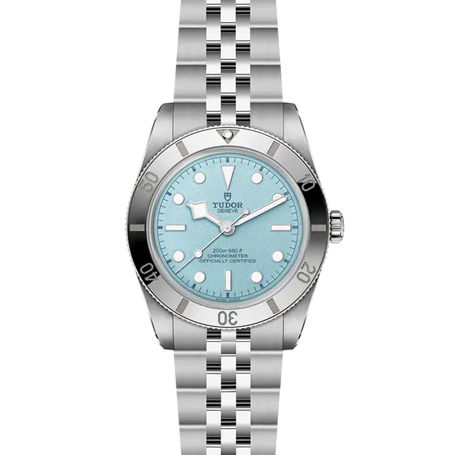Tudor BLACK BAY 54 M79000-0001 | Watch Palace