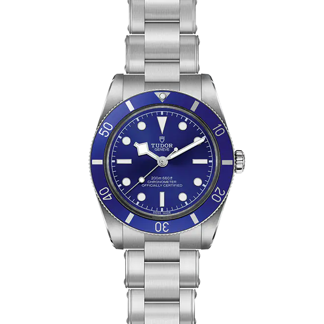Tudor BLACK BAY 54 M79000B-0001 | Watch Palace