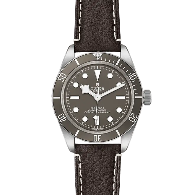Tudor BLACK BAY 58 925 M79010SG-0001 | Watch Palace