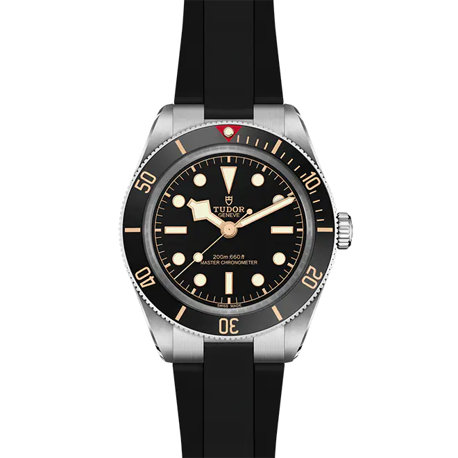 Tudor BLACK BAY 58 M7939A1A0NU-0003 | Watch Palace