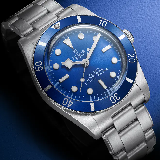 Tudor BLACK BAY 54 M79000B-0001 | Watch Palace