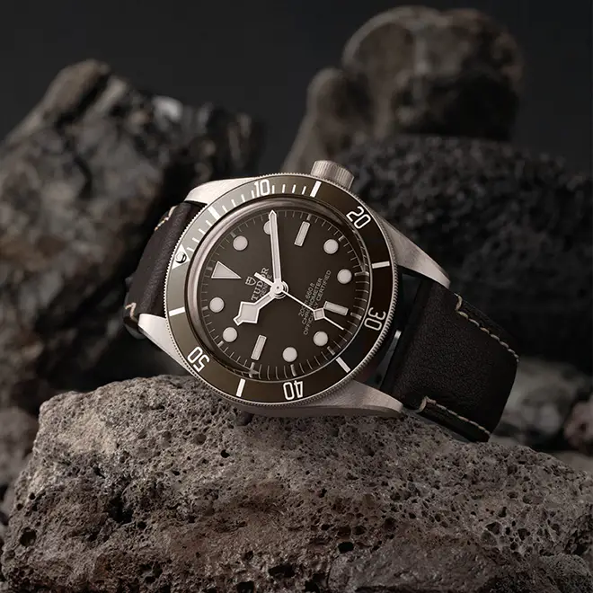 Tudor BLACK BAY 58 925 M79010SG-0001 | Watch Palace