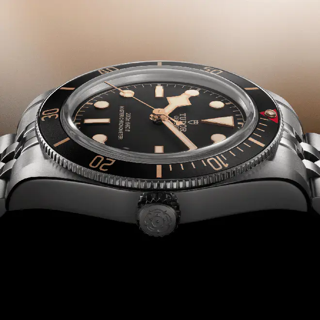 Tudor BLACK BAY 58 M7939A1A0NU-0001 | Watch Palace