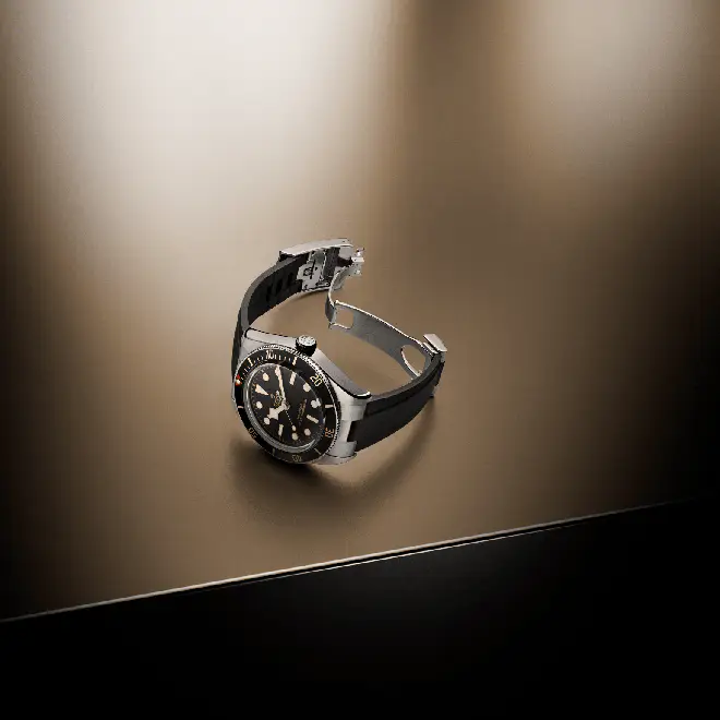 Tudor BLACK BAY 58 M7939A1A0NU-0003 | Watch Palace