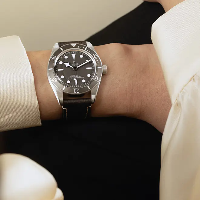 Tudor BLACK BAY 58 925 M79010SG-0001 | Watch Palace
