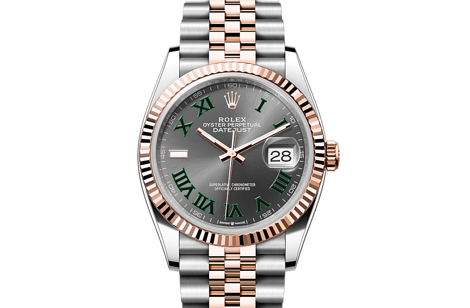 Rolex Datejust 36 in Oystersteel and Everose gold - m126231-0029 at Watch Palace